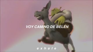 Burrito Sabanero Remix  Shrek [upl. by Nnelg]