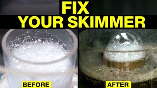 Top Protein Skimmer Fixes amp Why They Work [upl. by Ibby509]