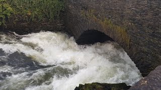 White Water Kayaking Under Backbarrow Bridge on the River Leven Lake District Jan 2018 [upl. by Lorrayne182]