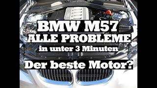 ALLE BMW PROBLEME M57 KAUFBERATUNG in unter 3 Minuten Drallklappe Injektor Glühkerzen Steuergerät [upl. by Ellennahs]