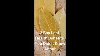 3 Bay Leaf Health Benefits You Didnt Know About shorts [upl. by Michail]