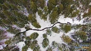 Wandern im Harz  von Braunlage nach Schierke [upl. by Firestone93]