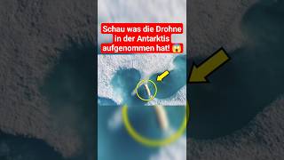 Drohne macht unglaubliche Aufnahme in der Antarktis antarktis drohne tierwelt entdeckung [upl. by Enedan]