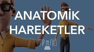 Anatomik hareketler 3d animasyonlu anlatım [upl. by Eleanora]