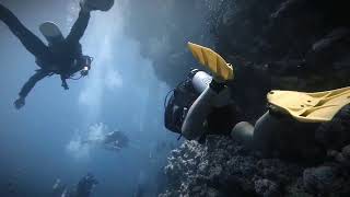 “Descend into the Abyss The Blue Hole of Dahab  An Underwater Odyssey” [upl. by Sackey]