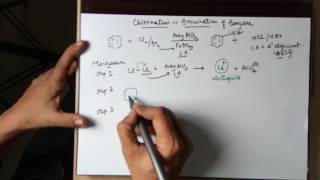 Halogenation of benzene mechanism by Seema Makhijani [upl. by Juna]