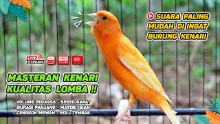 Kenari GACOR‼️ Masteran Burung Kenari PAUD dan Pancingan Kenari MACET BUNYI  EPISODE 1251 [upl. by Solracesoj]