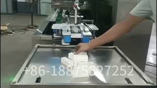 Automatic Bottle with Leaflet Cartoning Machine [upl. by Yziar]