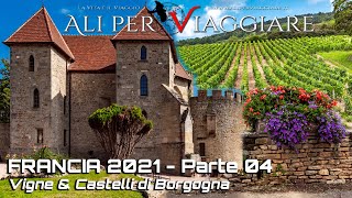 FRANCIA 2021  04 Vigne amp Castelli di Borgogna [upl. by Diraf]