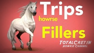 Make The Perfect Fillers  Howrse Trips [upl. by Pangaro]