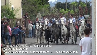 Festival Bandido Maillane 17042016 [upl. by Aicenet912]