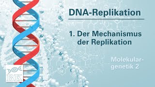 Molekulargenetik 2 DNAReplikation – Bedeutung und Mechanismus MeselsonStahlVersuch [upl. by Nyloc]