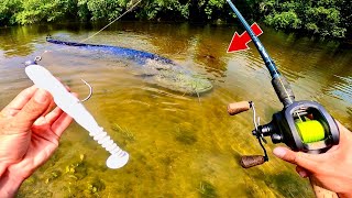 Un POISSON GÉANT inattendu dans cette petite rivière  Pêche au leurre [upl. by Ennazor]