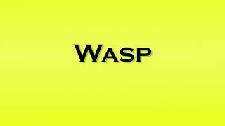 Pronunciation of Wasp [upl. by Eramal]