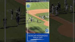 Teoscar Hernández walkoff hit Dodgers celebration Shorts [upl. by Lamhaj]