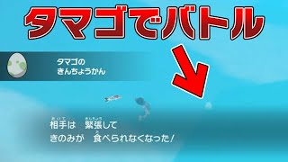 【メニューバグ】バトルで『タマゴ』を出すこともできるバグが可能性を秘めている【ポケモンSV バグ 検証 】 [upl. by Aizirk936]