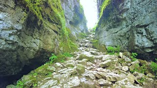 Ingleborough Estate Nature Trail to Trow Gill Gorge to Gaping Gill Cave Walk English Countryside 4K [upl. by Ludovico430]