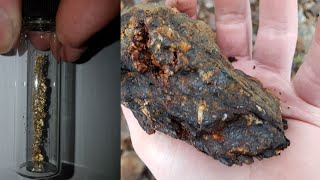 Free Gold From A Mineralized Outcrop amp New Au Finds [upl. by Earlene]