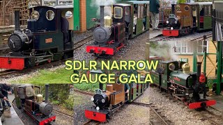 SDLR’s Narrow Gauge Gala l South Downs Light Railway l 17324 [upl. by Aroz582]