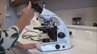 Utilisation du microscope optique [upl. by Thar]