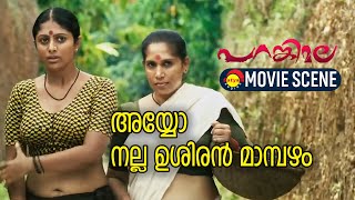 അയ്യോ നല്ല ഉശിരൻ മാമ്പഴം  Parankimala Movie Scene [upl. by Corson]