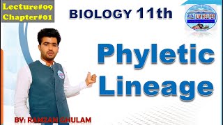 11th bio lec9  phyletic lineage  Ch 1  Phyletic Lineage  FIrst Year Biology [upl. by Eiramnwad]