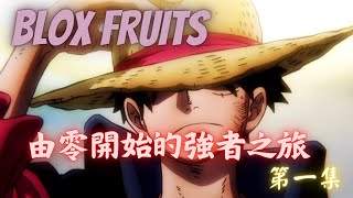 Blox Fruits｜由零開始的強者之旅 第一集 [upl. by Gratiana]