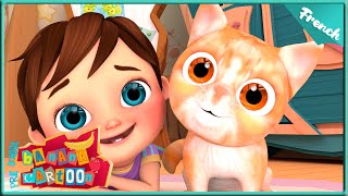 La Chanson du Chaton  La Danse du Chaton  Comptines et chansons pour enfants  Banana Cartoon [upl. by Laohcin466]