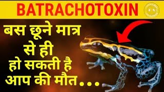 Batrachotoxin🐸🐸  Deady toxin Neurotoxic💯�ath  Caution [upl. by Odarbil]