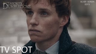 Fantastic Beasts The Secrets of Dumbledore  World  TV Spot [upl. by Toback]