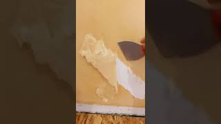 quotEasyquot way to remove wallpaper with Dawn Powerwash [upl. by Crispa]