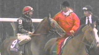 1995 Breeders Cup Juvenile Fillies  My Flag  Post Race amp Interviews [upl. by Annodam658]