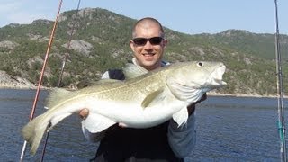 Live Bisse Dorsche überlisten bei wenig Drift Hitra Norwegen quotExitusFishingquot [upl. by Evilo]