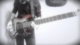 Twenty One Pilots  Next Semester Bass Cover [upl. by Suanne]