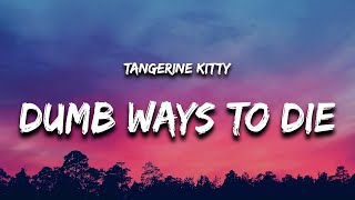 Dumb Ways to Die Lyrics  Tangerine Kitty TikTok Song [upl. by Ecarg323]