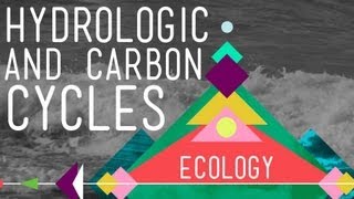 The Hydrologic and Carbon Cycles Always Recycle  Crash Course Ecology 8 [upl. by Ecnar]