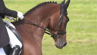 Sir Mark Todd at Barbury International Horse Trials  Event Rider Masters 2017 [upl. by Coray]