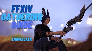 FFXIV  Gatherer Leveling Guide 190 Endwalker 608 [upl. by Yrtnej]