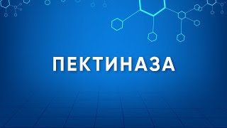 Пектиназа Pectinase Назначение Производство Применение Энзимология в деталях [upl. by Acisej]