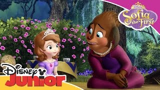 Sofia the First  Princess Charlotte  Official Disney Junior Africa [upl. by Agni]