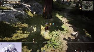 UNUSEABLE VALK WAS NERFED  BDO Awak Valk Grind Centaur 1h 293k trash loot  INF POT GRIND [upl. by Avika274]