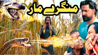 Mangary Maar Funny Video By Pk Plus Vines2024 [upl. by Ailido]