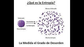 que es ENTROPIA [upl. by Harat]