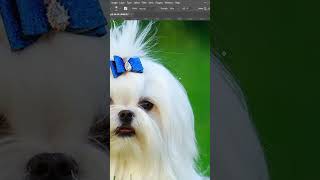 How to use smudge tool in photoshop 2024  photoshop tutorial shorts [upl. by Daphene]