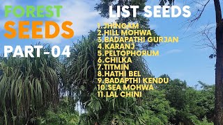 Forest Seeds Part04List Seeds [upl. by Malissa544]