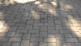 Sealing Pavers  Before and After [upl. by Nire]