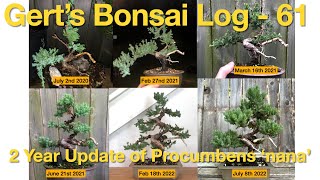 Bonsai Log  61  2 Year Update of Procumbens Nana Juniper [upl. by Aleydis]