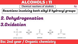 Dehydrogenation amp oxidation of alcohols  Alcohols  Bsc 2nd year organic chemistry  by chemboost [upl. by Enar]