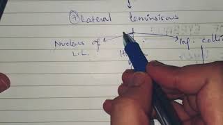 Auditory pathway Attenuation reflex deafness types  Guyton chap 53 [upl. by Acisseg]