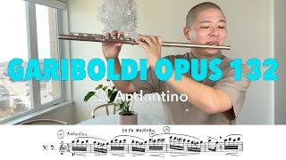 Gariboldi Flute Etude Opus 132 No 2 Andantino Melodious amp Progressive Studies Pg 2 [upl. by Arytal]